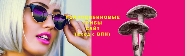 меф Арсеньев